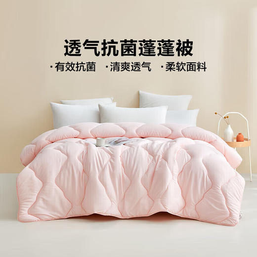 LOVO 轻柔蓬蓬春秋被 商品图2