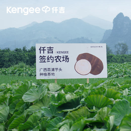 【超厚】流心芋泥蛋糕 武汉三环内配送 商品图3