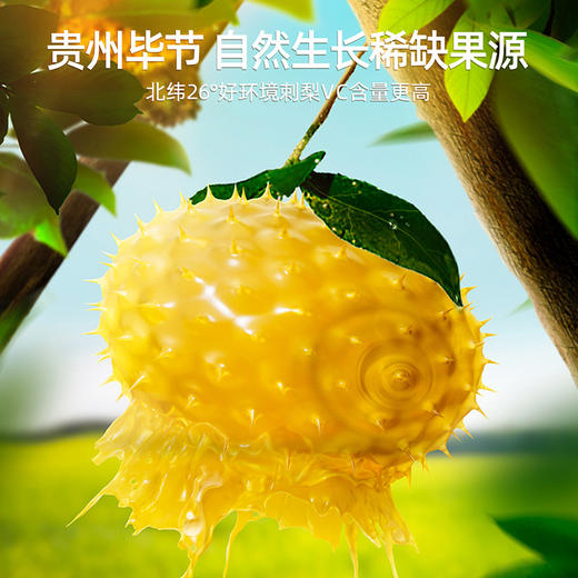 默小吉500ml盒装刺梨原浆不添加色素，无香精，不加一滴水 商品图2