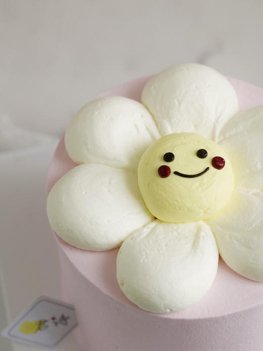 太阳花 商品图0