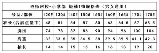 遵师附校-短袖T恤 商品图3
