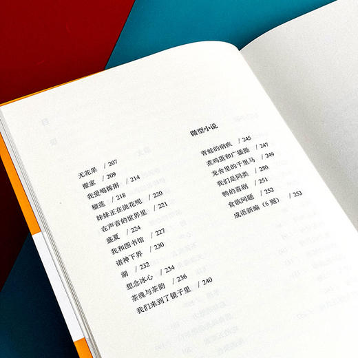 中国现当代文学大家儿童文学书系 王蒙卷 儿童文学选集 商品图7