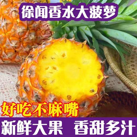 【10斤送去眼刀】广东徐闻大果香水菠萝应季水果老树自然数整箱批发10斤/5斤可选TZ 商品图0