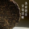 布朗山花香甜茶 森之初  普洱茶 生茶 200g饼 商品缩略图1