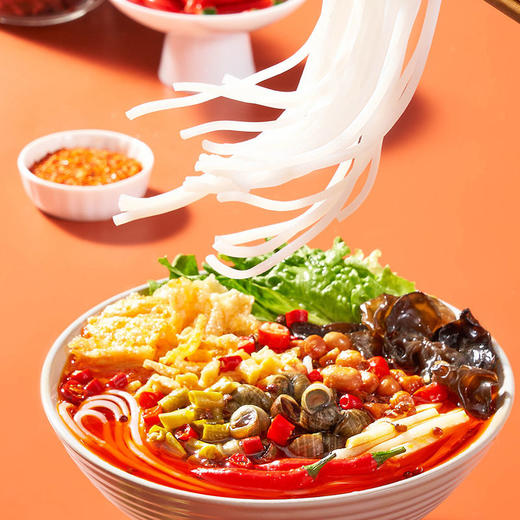 拾小桂螺蛳粉礼盒装 310g*6袋原味麻辣味 商品图3