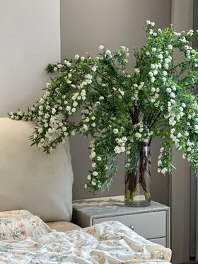 重瓣小手球花一扎