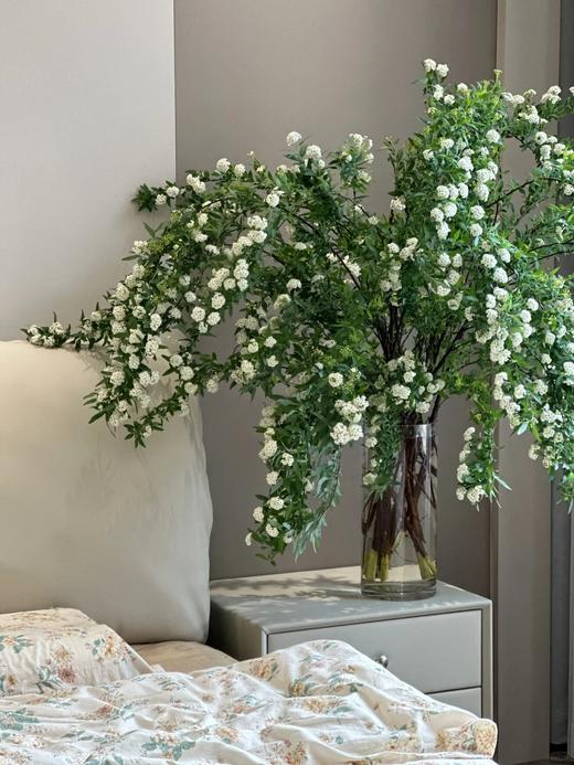 重瓣小手球花一扎 商品图0