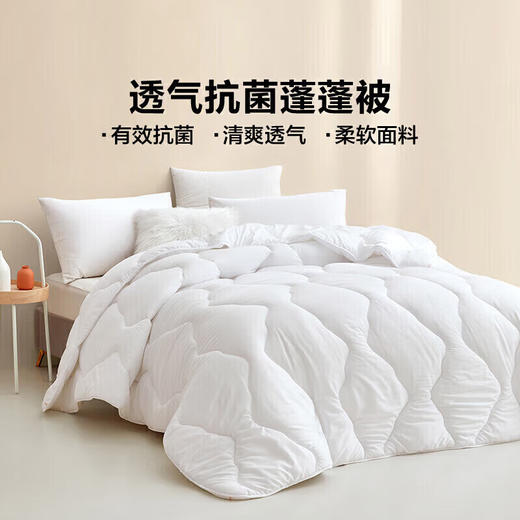 LOVO 轻柔蓬蓬春秋被 商品图4