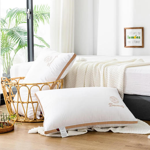 百丽安娜（Belle Anna） 2022秋冬新款 羽丝绒 立体对枕 商品图3