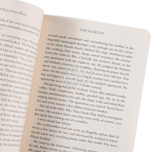 预售 【中商原版】威廉 皮特 布拉蒂 驱魔人 严肃恐怖小说 The Exorcist 英文原版 William Peter Blatty 奇幻 惊悚 恐怖 商品图3