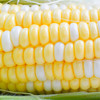 【爆浆水果甜玉米！云南金银水果玉米】一口下去，脆甜爽口，鲜嫩多汁，现摘整箱新鲜生吃甜玉米棒子， 商品缩略图5