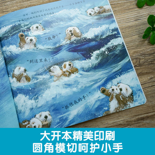 暖房子心成长系列绘本·第五辑：手牵着手(〔英〕简·查普曼 文、图；徐甜 译) 商品图3