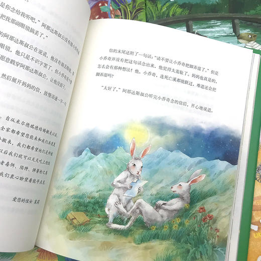 国际获奖儿童文学(全5册)—绿盒 商品图3