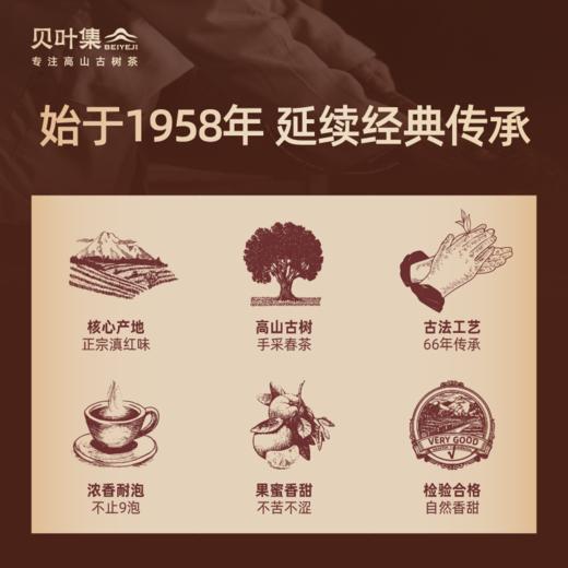 经典58 | 经典配方传统工夫高山滇红250g 商品图1