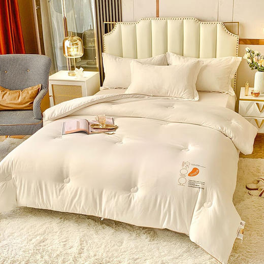 百丽安娜舒柔大豆纤维被 商品图1