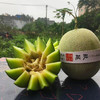 【脆嫩清甜！海南玫珑蜜瓜】浓郁的果香回味，新鲜水果哈密瓜，香气宜人，口齿留香，满满都是海南阳光的味道 商品缩略图0