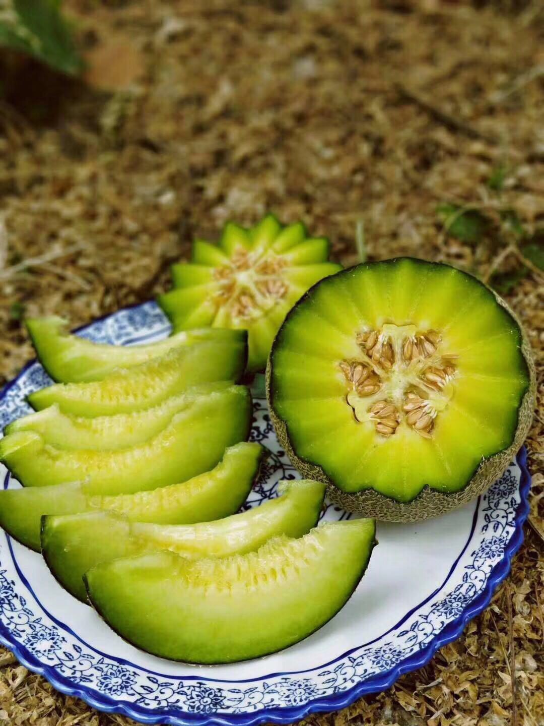 微信图片_2019112002321610 - 副本.jpg