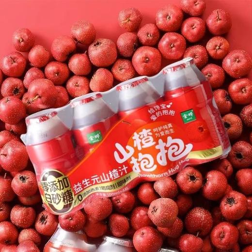 【包邮】金晔 益生元山楂汁 山楂抱抱果汁饮料0添加 色素 商品图1
