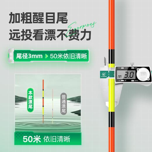佳钓尼霸道大物漂加粗醒目浮漂翘嘴鲢鳙鱼漂 商品图2