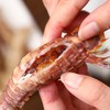 冰鲜 | 带膏皮皮虾 1200g/份（36-48只左右）黄金捕捞期  肥壮膏美 商品缩略图4
