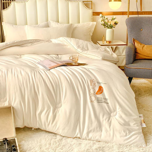 百丽安娜舒柔大豆纤维被 商品图3