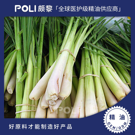 尼泊尔进口有机玫瑰草/马丁香精油原料尼泊尔进口精油颇黎玫瑰草/马丁香精油 商品图0