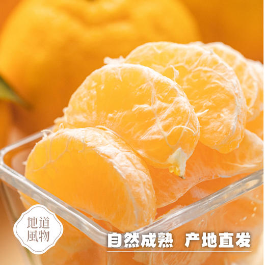 四川蒲江  柠檬不知火  多规格任选 商品图4