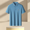 罗蒙夏季男士百搭时尚简约男t恤短袖polo衫亲肤柔软polo衫男短袖 商品缩略图2