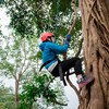 寒假西双版纳 雨林生物多样性科考探索6日研学营 商品缩略图4