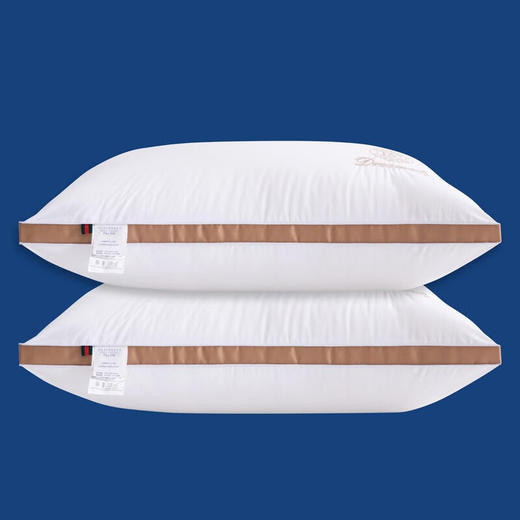 百丽安娜（Belle Anna） 2022秋冬新款 羽丝绒 立体对枕 商品图0