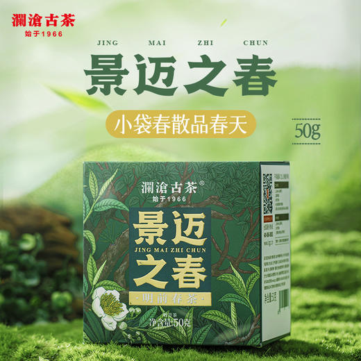 澜沧古茶2024年景迈之春普洱茶生茶散茶生普50g 商品图0