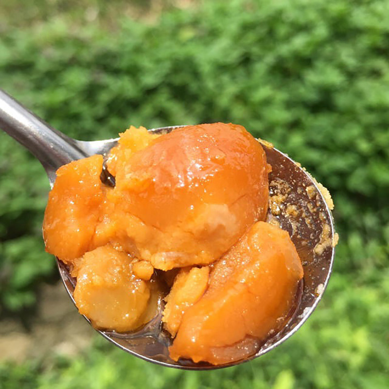 微信图片_201901060155167 - 副本.jpg