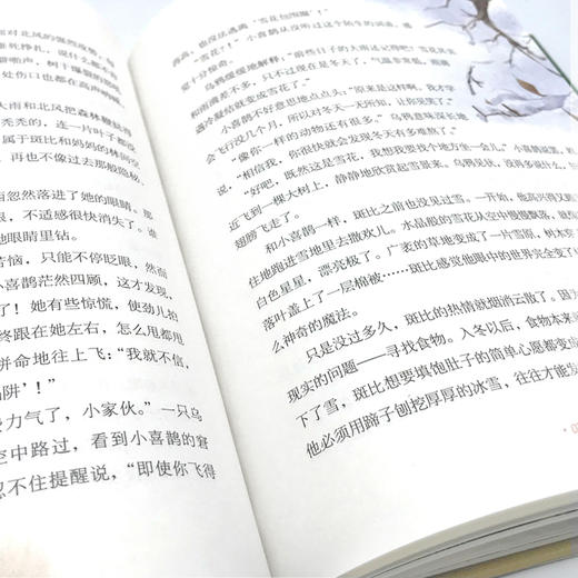 国际获奖儿童文学(全5册)—绿盒 商品图4