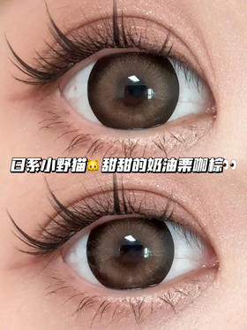 secret wish 精灵猫系奶栗棕·半年抛