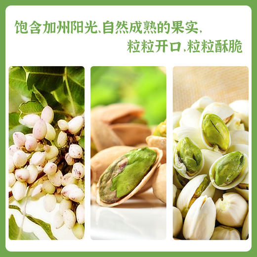 派喔加州开心果98g（新老包装随机发） 商品图2