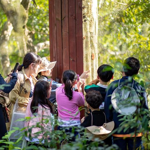 寒假西双版纳 雨林生物多样性科考探索6日研学营 商品图3