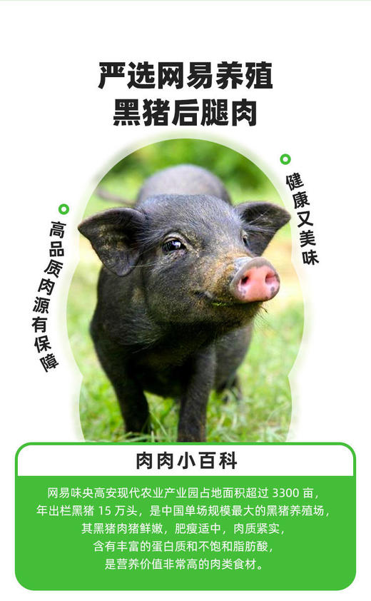 超推荐! 厚切午餐肉天花板！配料干净减脂期也可吃💥原味/儿童减盐两款！网易严选黑土猪，含肉量超90%，口口是肉🥓香嫩Q弹 ✅健康吃肉！0色素0香精味精0卡拉胶0亚硝酸钠 ✅锁鲜片装，一撕即食 商品图10