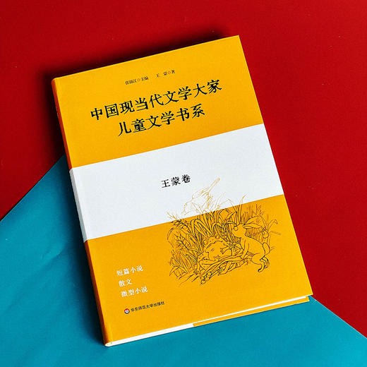中国现当代文学大家儿童文学书系 王蒙卷 儿童文学选集 商品图4