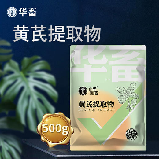 华畜黄芪多糖500g 抗病利尿、排毒消肿、补气益血，高含量 高浓度 大包装 超划算 商品图1