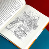 中国现当代文学大家儿童文学书系 王蒙卷 儿童文学选集 商品缩略图11