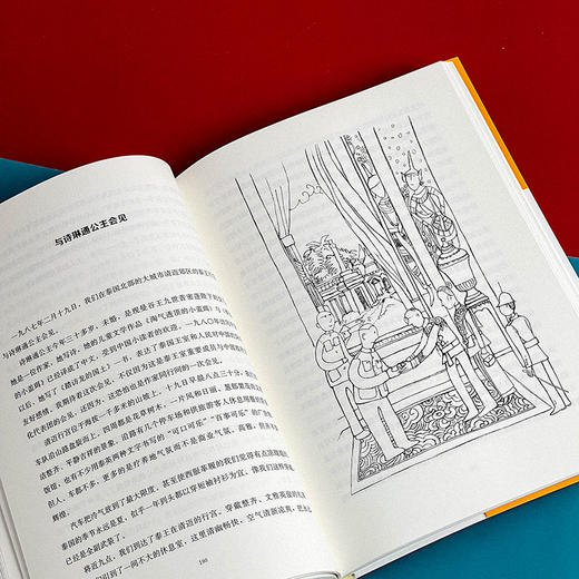 中国现当代文学大家儿童文学书系 王蒙卷 儿童文学选集 商品图12