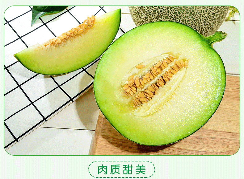 哈密瓜_05 - 副本.jpg