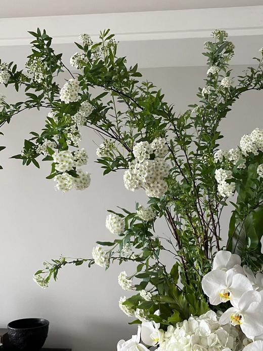 重瓣小手球花一扎 商品图2