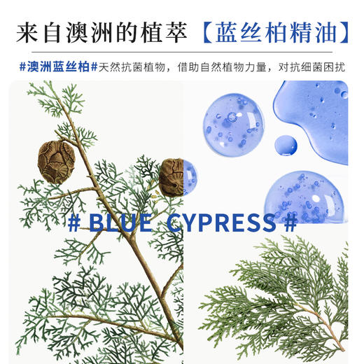 【190颗囤货装】爱慕健康蓝丝柏精油香氛凝珠持久留香添加洗衣凝珠 商品图3