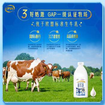 伊利高品质全脂鲜牛奶1.5L桶装鲜活营养早餐巴氏杀菌低温牛乳 商品图5