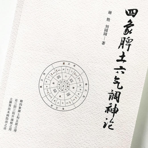 正版 现货 速发 【出版社直销】 四象脾土六气调神论 谢胜 刘园园 著  中国中医药出版社 中医书籍 商品图1