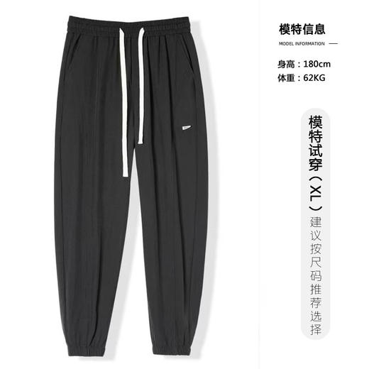 【龙贝莱精选】夏季男士冰丝裤薄款宽松束脚裤休闲运动裤纯色裤子H241060658 商品图0