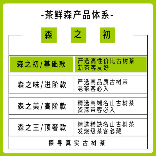 布朗山花香甜茶 森之初  普洱茶 生茶 200g饼 商品图4