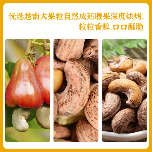 派喔紫皮腰果98g 商品图1