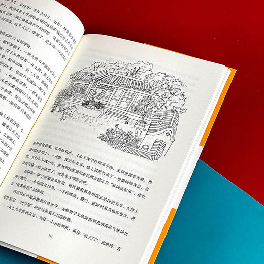 中国现当代文学大家儿童文学书系 王蒙卷 儿童文学选集 商品图14